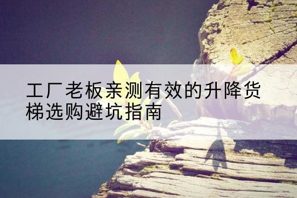 巩义升降货梯怎么选-工厂老板亲测有效的升降货梯选购避坑指南