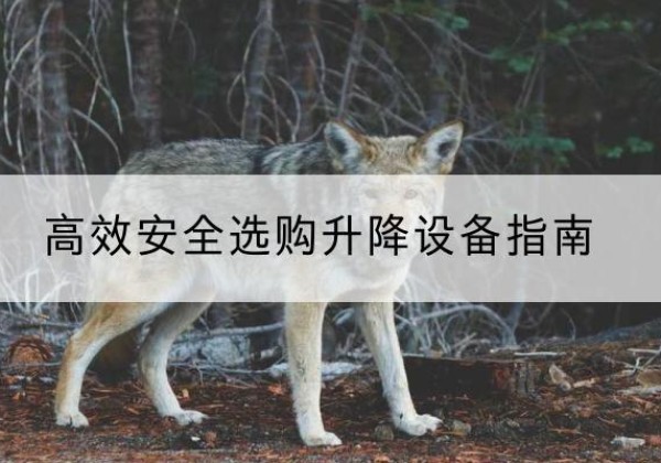 巩义升降货梯厂家推荐-*安全选购升降设备指南