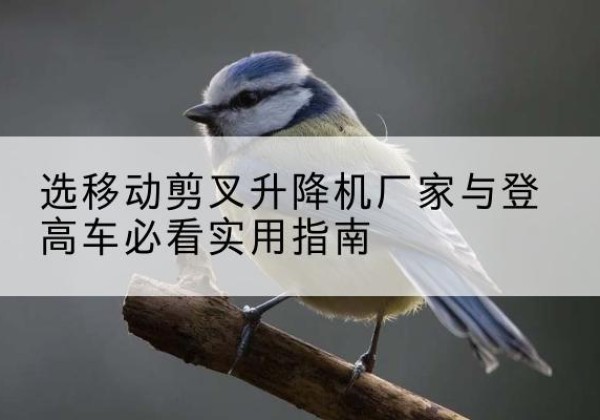 巩义电动升降机厂家-选移动剪叉升降机厂家与登高车必看实用指南