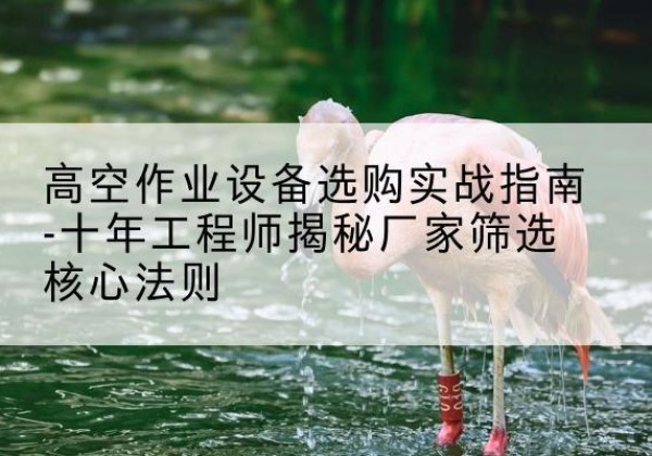 巩义剪叉式升降机厂家-高空作业设备选购实战指南-十年工程师揭秘厂家筛选核心法则