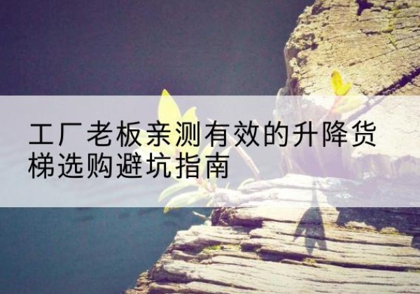 巩义升降货梯怎么选-工厂老板亲测有效的升降货梯选购避坑指南